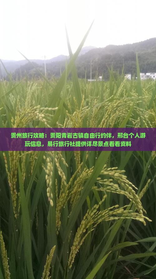 贵州旅行攻略：贵阳青岩古镇自由行约伴，邢台个人游玩信息，易行旅行社提供详尽景点看看资料