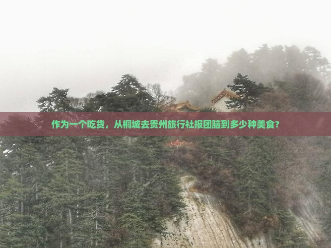 作为一个吃货，从桐城去贵州旅行社报团脑到多少种美食？