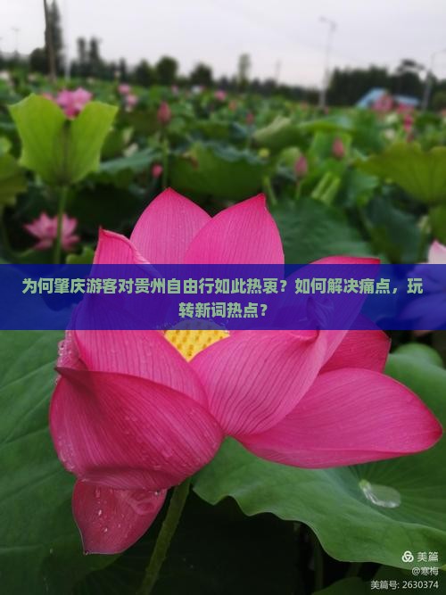为何肇庆游客对贵州自由行如此热衷？如何解决痛点，玩转新词热点？