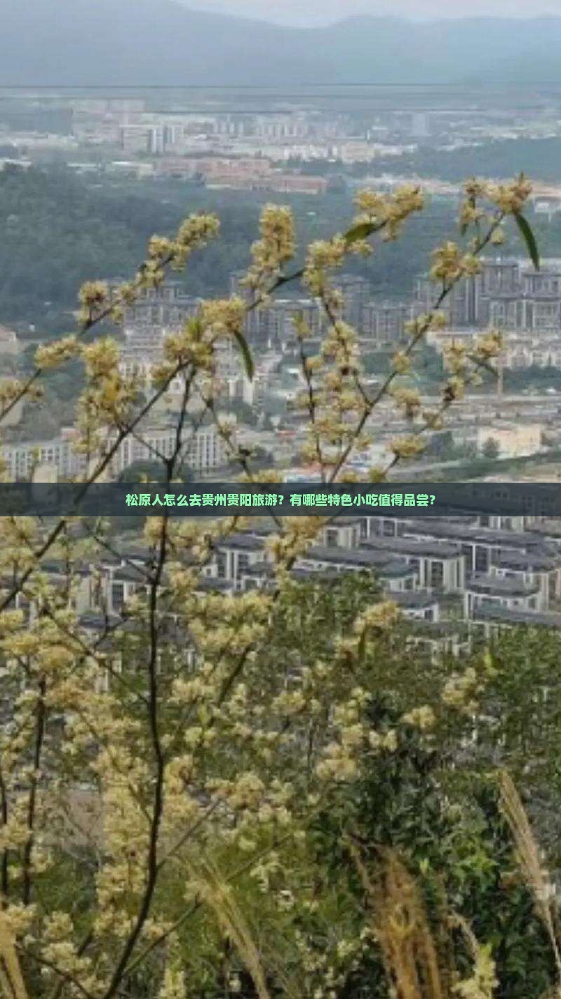 松原人怎么去贵州贵阳旅游？有哪些特色小吃值得品尝？