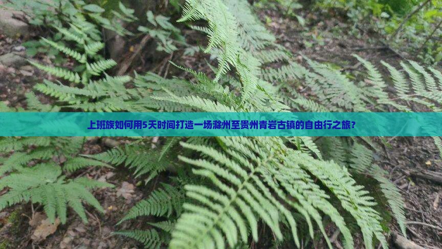 上班族如何用5天时间打造一场滁州至贵州青岩古镇的自由行之旅？