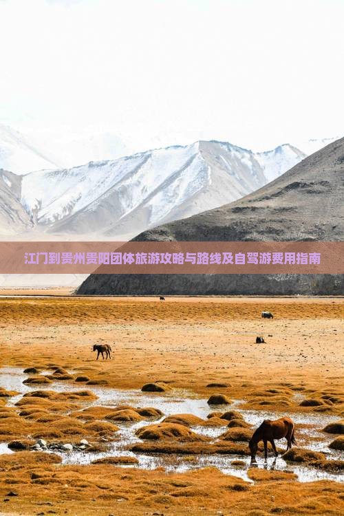 江门到贵州贵阳团体旅游攻略与路线及自驾游费用指南