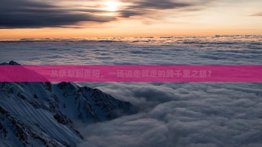 从伊犁到贵阳，一场说走就走的跨千里之旅？