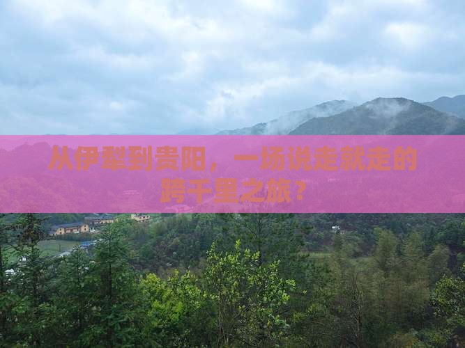 从伊犁到贵阳，一场说走就走的跨千里之旅？