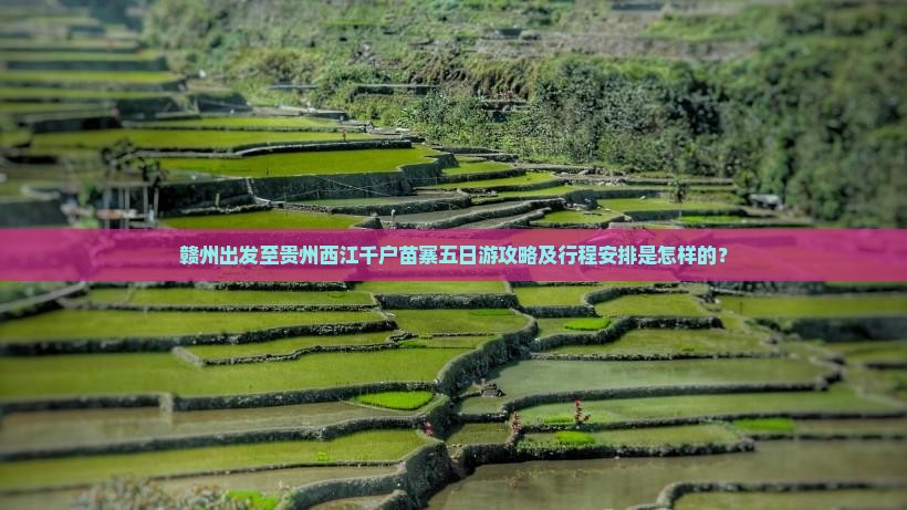 赣州出发至贵州西江千户苗寨五日游攻略及行程安排是怎样的？