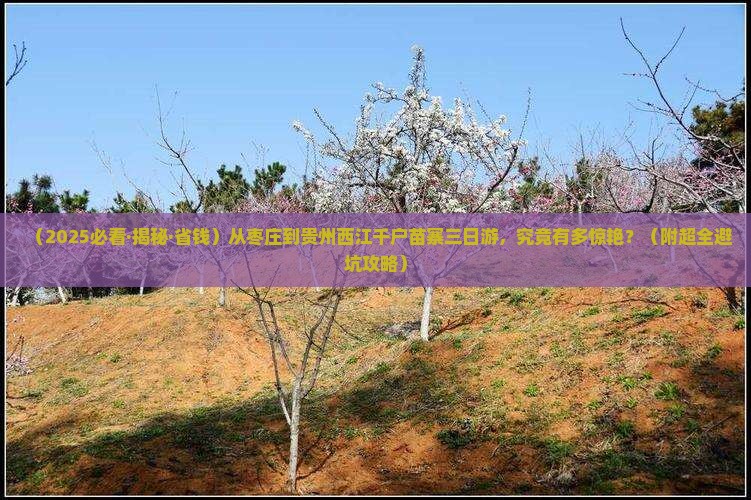 枣庄去贵州西江千户苗寨三日游