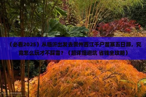 临沂去贵州西江千户苗寨五日游