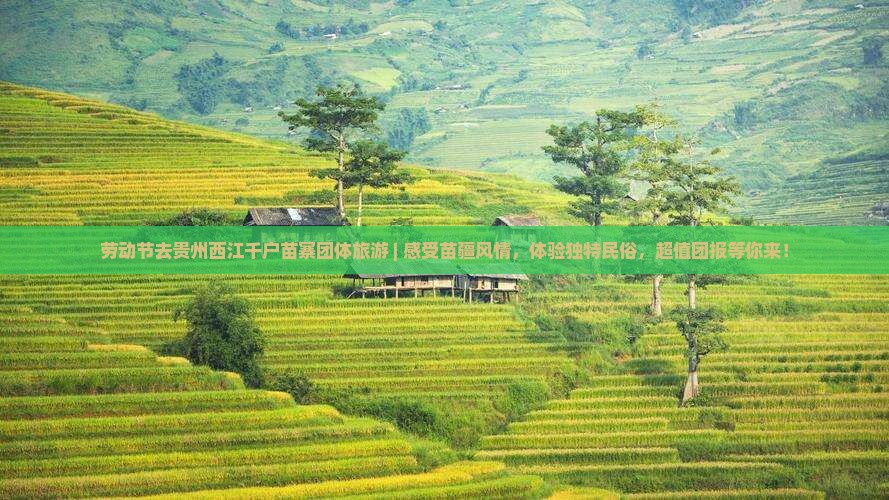 劳动节去贵州西江千户苗寨团体旅游