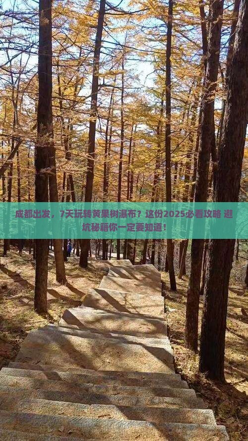 成都到贵州黄果树瀑布七日游