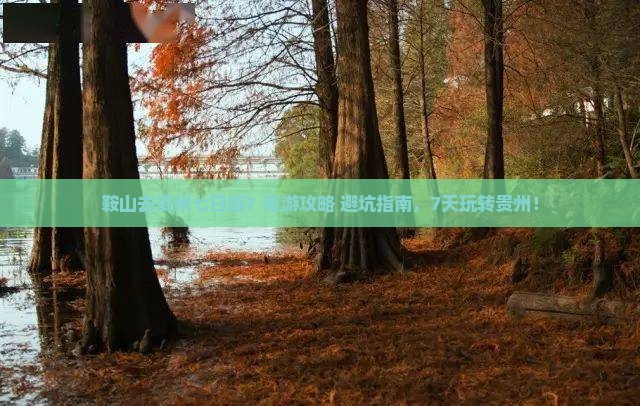 鞍山去贵州七日游