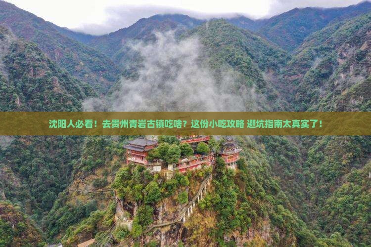 沈阳去贵州青岩古镇旅游小吃