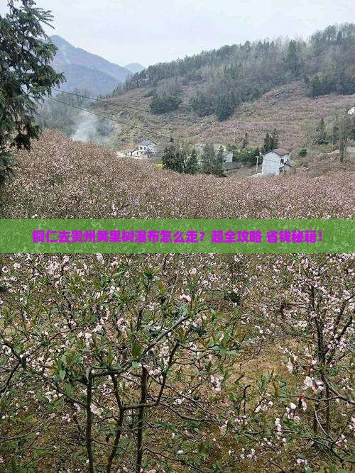 铜仁去贵州黄果树瀑布旅行社