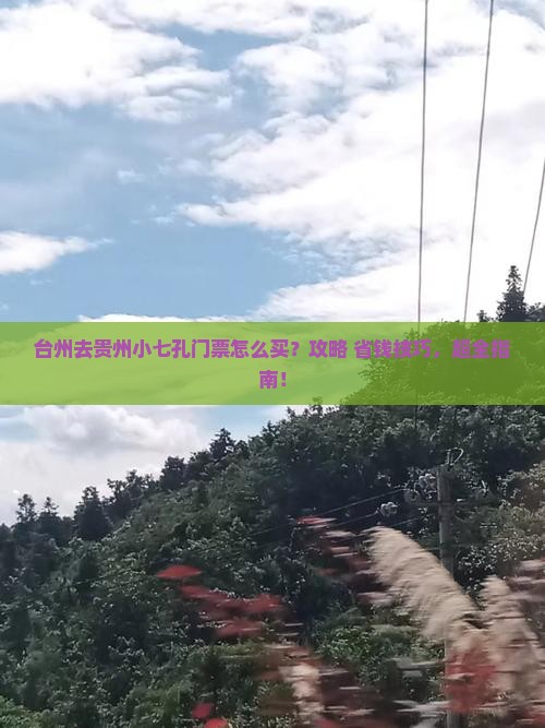 台州去贵州小七孔门票