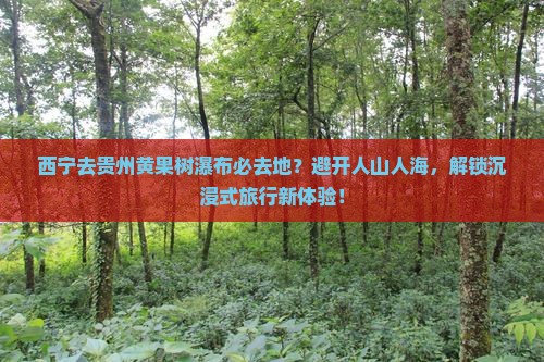 西宁去贵州黄果树瀑布必去地