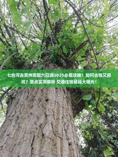 七台河去贵州贵阳六日游