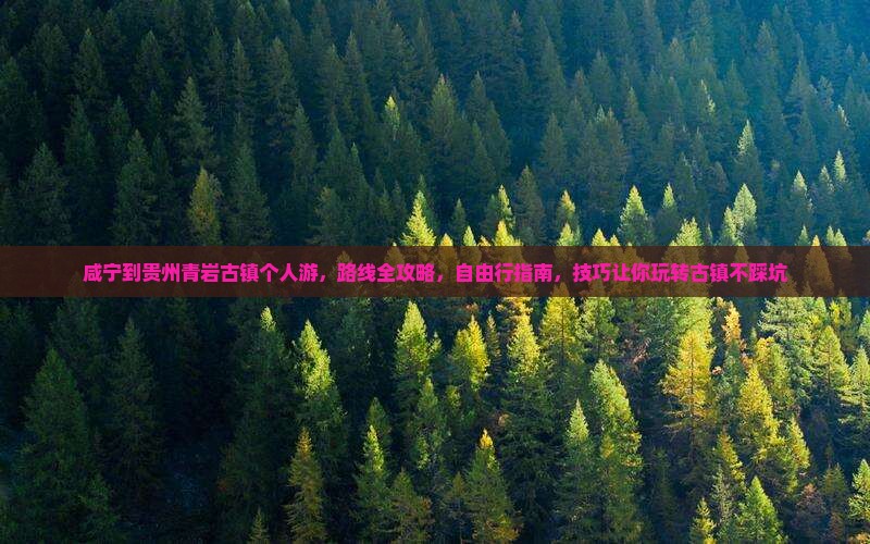 咸宁到贵州青岩古镇个人游