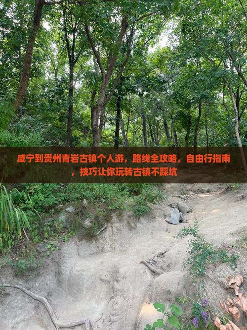 咸宁到贵州青岩古镇个人游