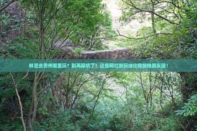 林芝去贵州哪里玩