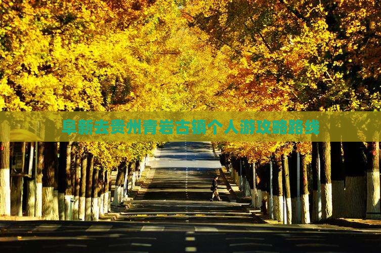 阜新去贵州青岩古镇个人游