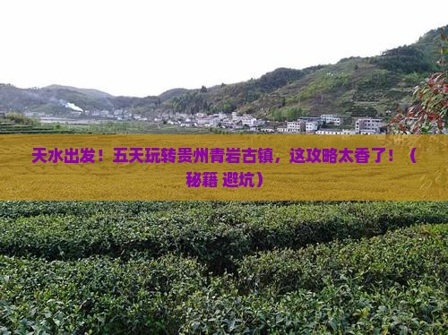 天水到贵州青岩古镇五日游