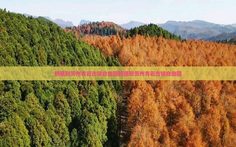 鹤壁到贵州青岩古镇自由团