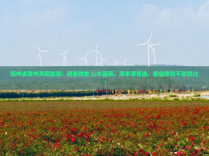 衢州去贵州贵阳旅游