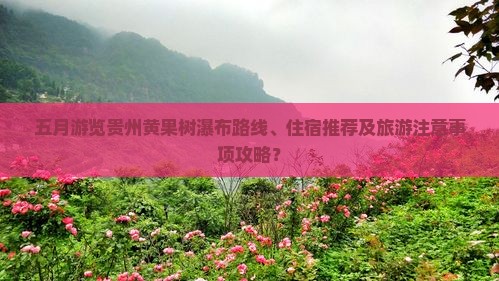五月游览贵州黄果树瀑布路线、住宿推荐及旅游注意事项攻略？