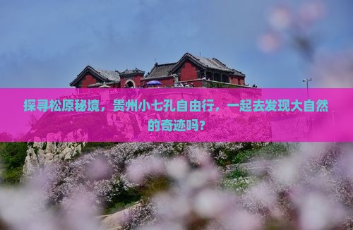 探寻松原秘境，贵州小七孔自由行，一起去发现大自然的奇迹吗？