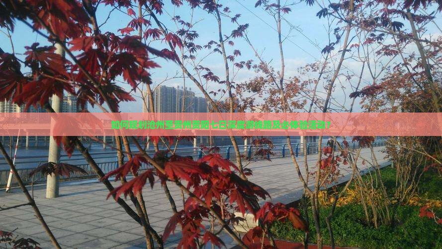如何规划沧州至贵州贵阳七日深度游线路及必体验活动？