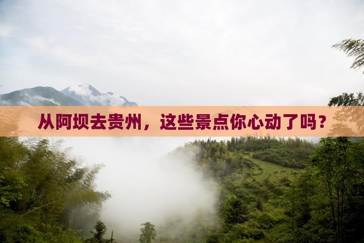 从阿坝去贵州，这些景点你心动了吗？