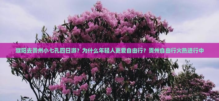 濮阳去贵州小七孔四日游？为什么年轻人更爱自由行？贵州自由行火热进行中