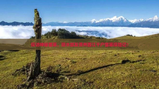 探访神秘苗寨，丽水旅友贵州西江千户苗寨探险记！