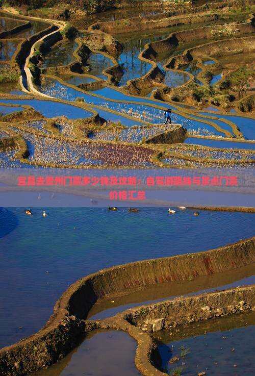 宜昌去贵州门票多少钱及攻略：自驾游路线与景点门票价格汇总