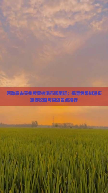 阿勒泰去贵州黄果树瀑布哪里玩：探寻黄果树瀑布旅游攻略与周边景点推荐