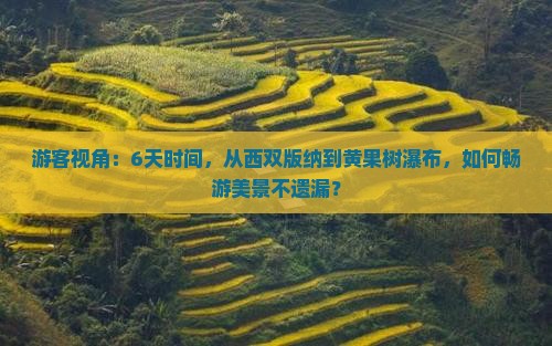 游客视角：6天时间，从西双版纳到黄果树瀑布，如何畅游美景不遗漏？