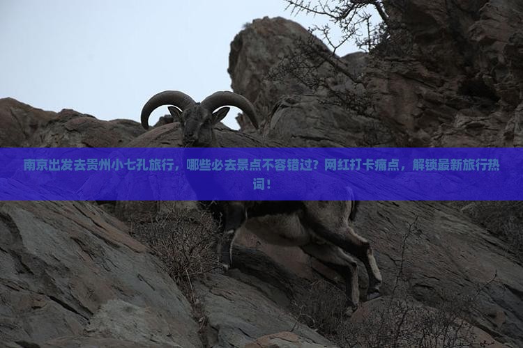南京出发去贵州小七孔旅行，哪些必去景点不容错过？网红打卡痛点，解锁最新旅行热词！