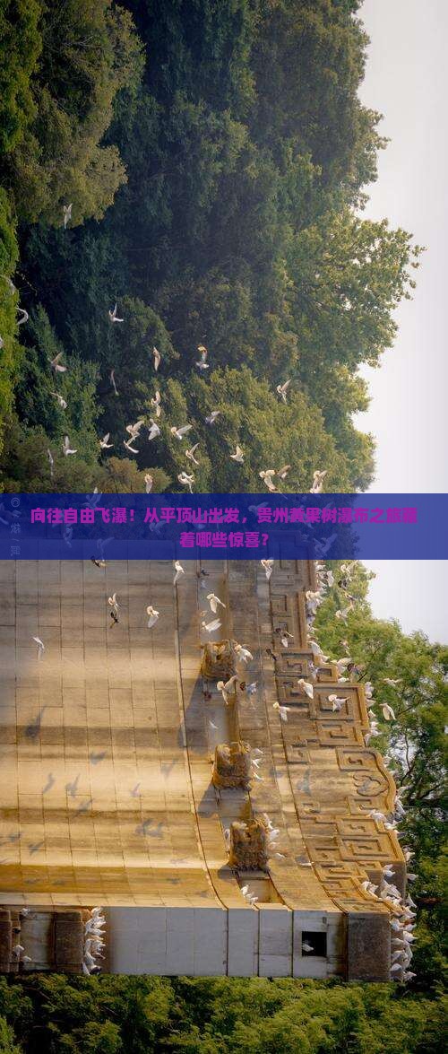 向往自由飞瀑！从平顶山出发，贵州黄果树瀑布之旅藏着哪些惊喜？