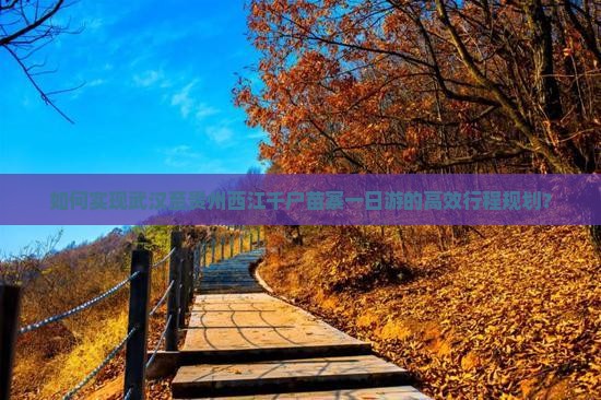 如何实现武汉至贵州西江千户苗寨一日游的高效行程规划？