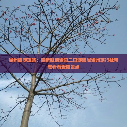 贵州旅游攻略：阜新新到贵阳二日游路犀贵州旅行社带您看看贵阳景点