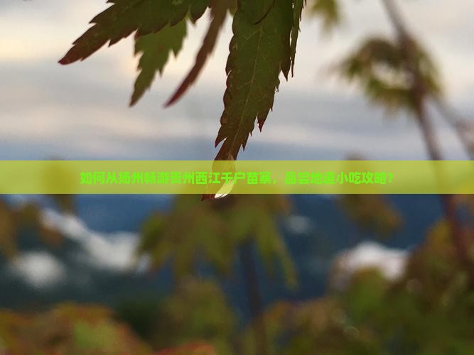 如何从扬州畅游贵州西江千户苗寨，品尝地道小吃攻略？
