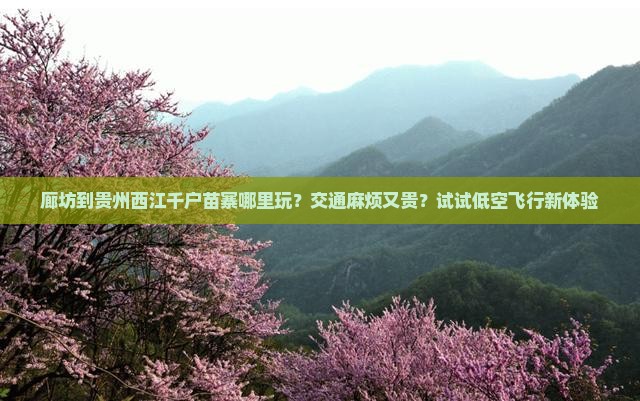 廊坊到贵州西江千户苗寨哪里玩？交通麻烦又贵？试试低空飞行新体验