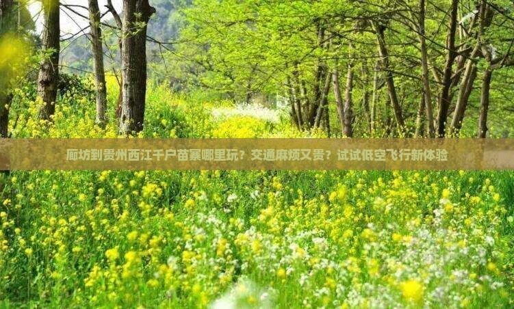 廊坊到贵州西江千户苗寨哪里玩？交通麻烦又贵？试试低空飞行新体验