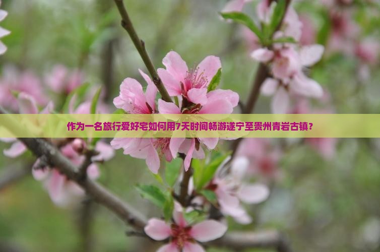 作为一名旅行爱好宅如何用7天时间畅游遂宁至贵州青岩古镇？