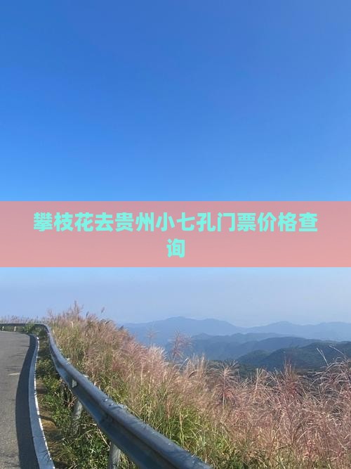 攀枝花去贵州小七孔门票价格查询
