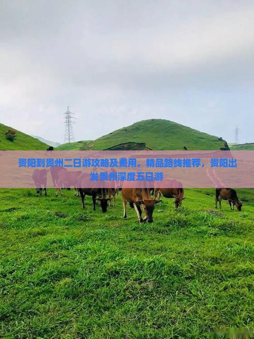贵阳到贵州二日游攻略及费用,精品路线推荐,贵阳出发贵州深度五日游 贵阳到贵州二日游攻略及费用,精品路线推荐,贵阳出发贵州深度五日游