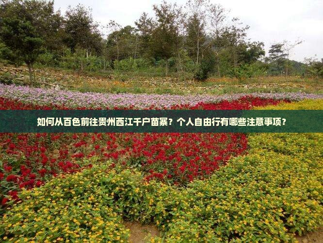 如何从百色前往贵州西江千户苗寨？个人自由行有哪些注意事项？