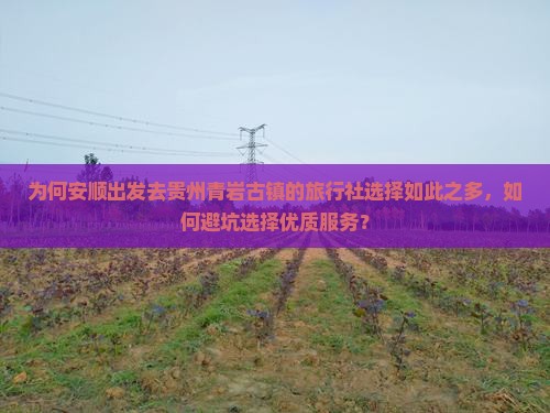 为何安顺出发去贵州青岩古镇的旅行社选择如此之多，如何避坑选择优质服务？
