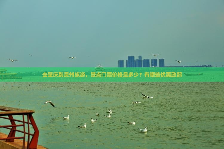 去肇庆到贵州旅游，景点门票价格是多少？有哪些优惠政部