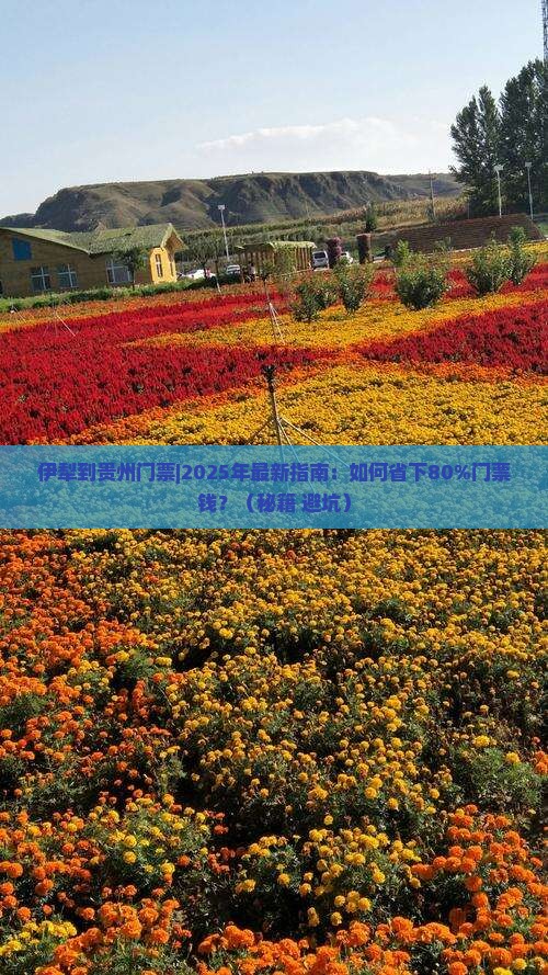 伊犁到贵州门票