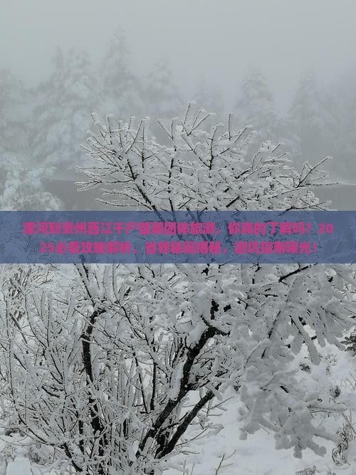 漯河到贵州西江千户苗寨团体旅游